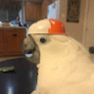 Meet your Posher, Sidnotgod